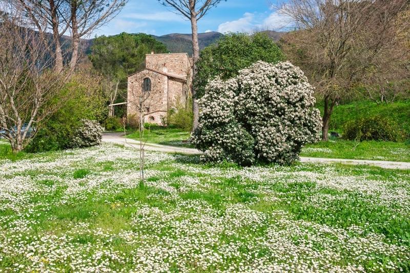 Il Molendino Pisa B&B Calci Buitenkant foto