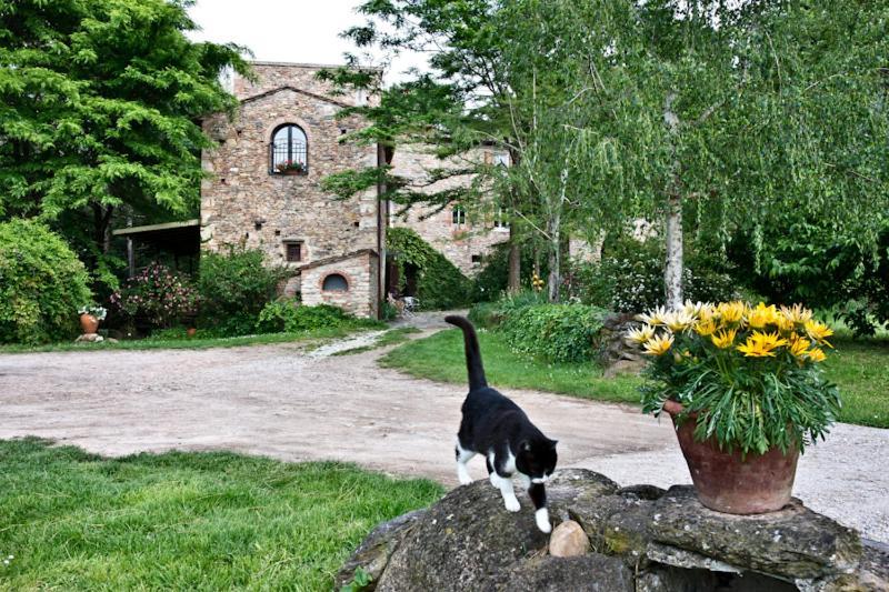 Il Molendino Pisa B&B Calci Buitenkant foto