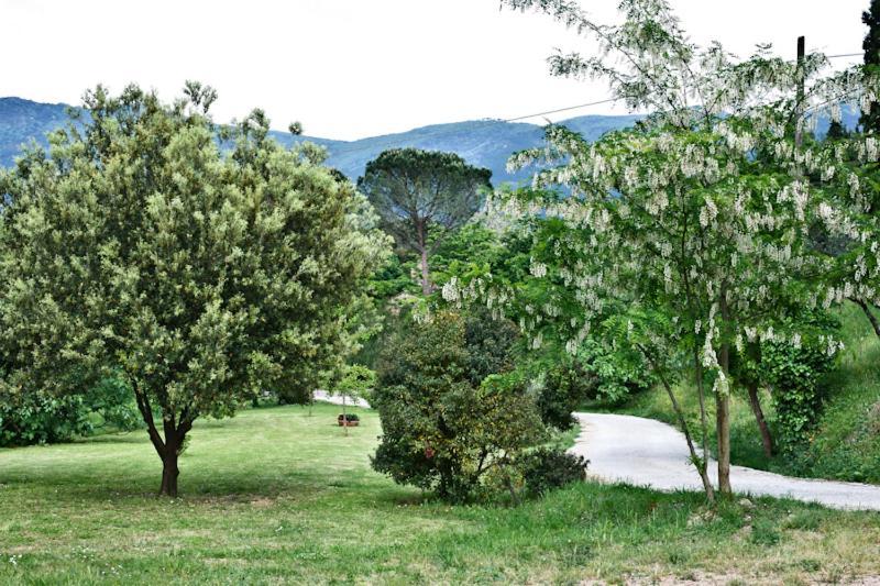Il Molendino Pisa B&B Calci Buitenkant foto