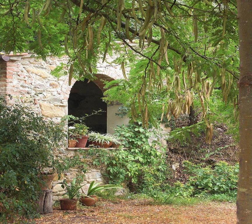 Il Molendino Pisa B&B Calci Buitenkant foto