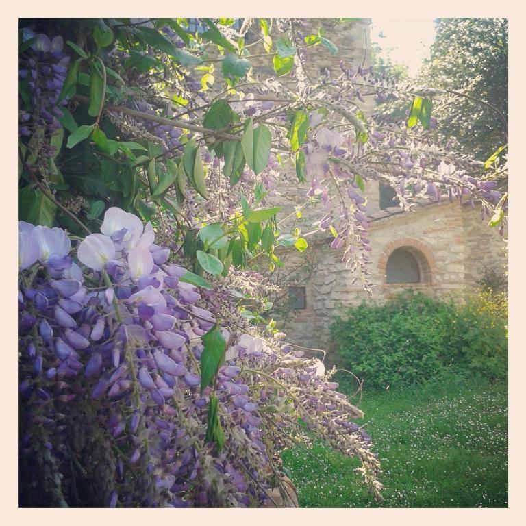 Il Molendino Pisa B&B Calci Buitenkant foto