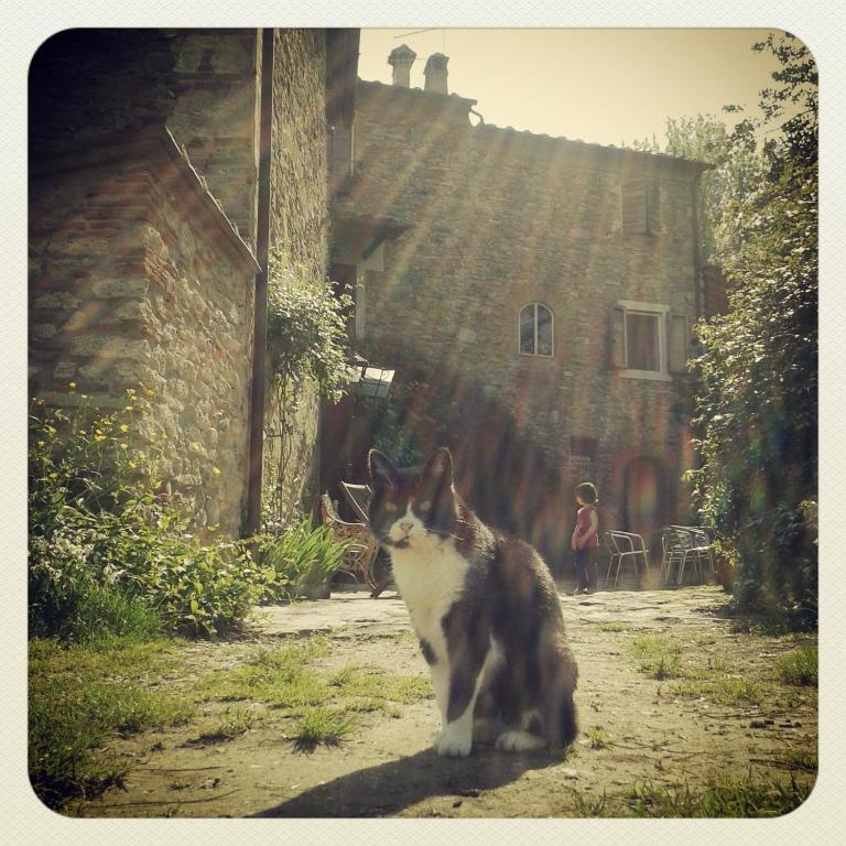 Il Molendino Pisa B&B Calci Buitenkant foto